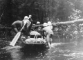 Lužnice 1965 na Staré řece