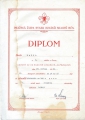 Diplom