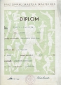 Diplom