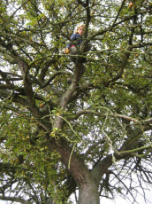 2007_10 Podnik Dražice