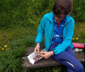 OLYMPUS DIGITAL CAMERA