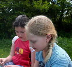 OLYMPUS DIGITAL CAMERA