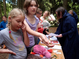 OLYMPUS DIGITAL CAMERA