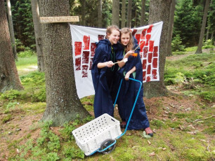 OLYMPUS DIGITAL CAMERA