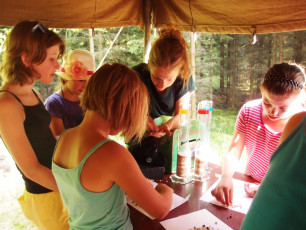 OLYMPUS DIGITAL CAMERA