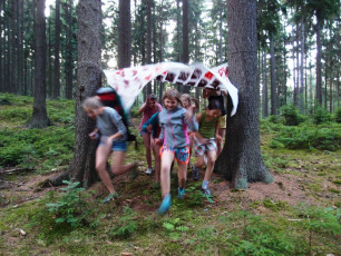 OLYMPUS DIGITAL CAMERA