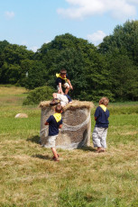 OLYMPUS DIGITAL CAMERA