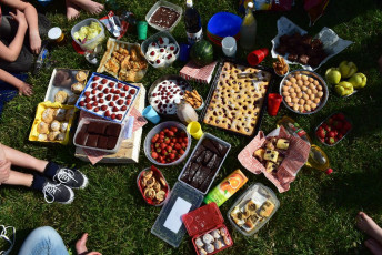 2014_06 Závěrečny piknik