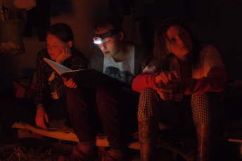 OLYMPUS DIGITAL CAMERA