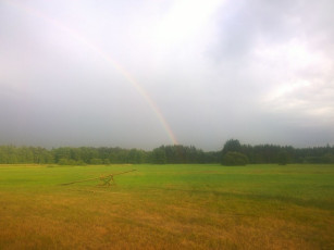 015-wp_20140630_19_37_53_pro