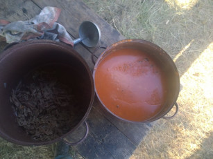 024-wp_20140701_19_05_09_pro