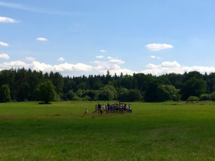 034-wp_20140703_15_26_28_pro