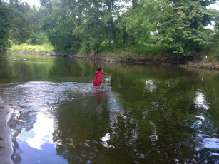 061-wp_20140706_10_51_07_pro