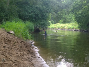 066-wp_20140706_10_57_40_pro