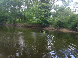 071-wp_20140706_11_01_16_pro