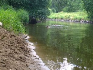 073-wp_20140706_11_06_08_pro