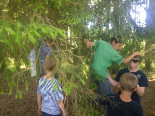 077-wp_20140706_16_06_27_pro