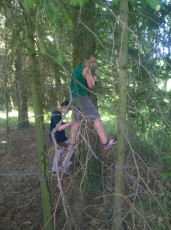 078-wp_20140706_16_07_21_pro