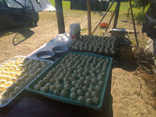 083-wp_20140706_17_25_14_pro