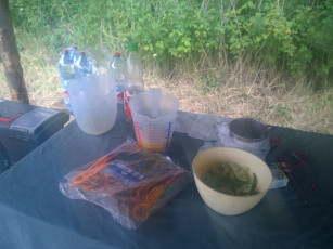 096-wp_20140710_19_13_03_pro