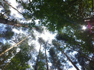 146-wp_20140715_14_22_11_pro