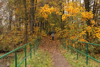 2015 11 Podzimky Přelouč