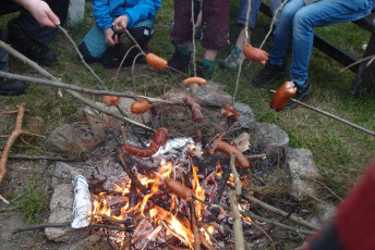 OLYMPUS DIGITAL CAMERA