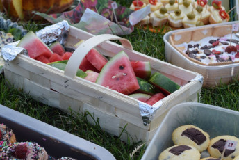 2015_06 Závěrečný piknik