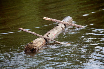 Táborák tábor Telč 2015