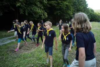 2018-06-16_nic5bebor-50_2841ph