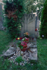 2018-06-16_nic5bebor-50_2960ph