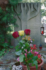 2018-06-16_nic5bebor-50_2971ph