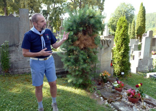 2018-06-16_nic5bebor-50_2994ph