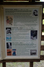 2018-06-16_nic5bebor-50_2999ph