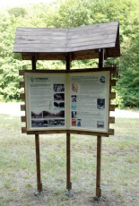 2018-06-16_nic5bebor-50_3003ph