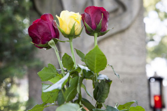 Táborák Nižbor 50.let -16.6.2018