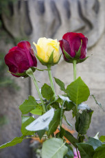 Táborák Nižbor 50.let -16.6.2018