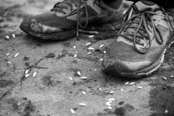 Rodgesárny - zkoušky majora Rodgerse - Tábor 2018 Radvanec