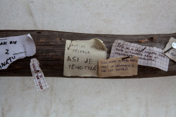 Táborák 555 Radvánec 15.8,21