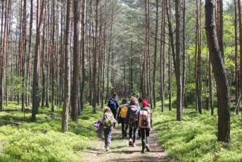 hnc49bvice_jc3adlovc3a9-30