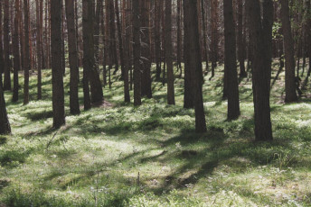 hnc49bvice_jc3adlovc3a9-43