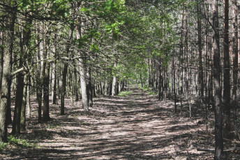 hnc49bvice_jc3adlovc3a9-44