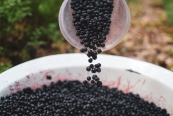 tc3a1bor-karlc3adk-tovc3a1rna-115