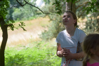 tc3a1bor-karlc3adk-tovc3a1rna-20