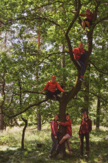 tc3a1bor-karlc3adk-tovc3a1rna-33