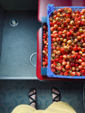 tc3a1bor-tovc3a1rna-2