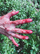 tc3a1bor-tovc3a1rna-41