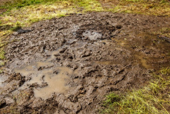 Táborák tábor 2021 Radvánec