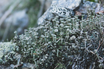 podzimky-petraska-mali-2021-119