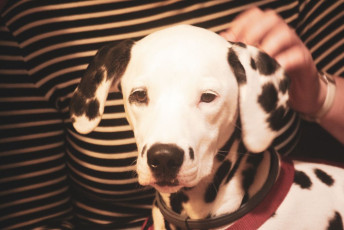 podzimky-petraska-mali-2021-134